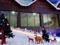 -世界之窗阿尔卑斯冰雪世界