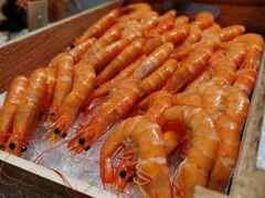 -广州天河合景福朋喜来登酒店