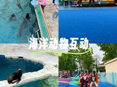 -秦皇岛乐岛海洋王国