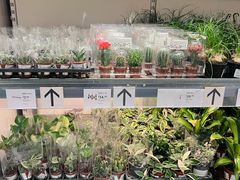 -宜家家居(高新商场店)