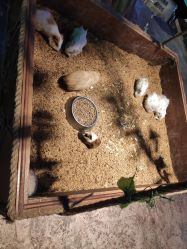 -酷嗒动物文化乐园(cutezoo西溪乐天城店)