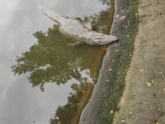 -广州长隆飞鸟乐园