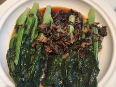 -香港狮子山下·明星粤菜餐厅(北苑店)