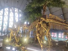 -辽宁古生物博物馆