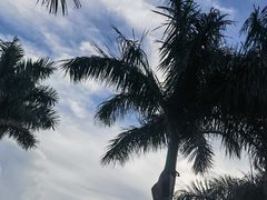 -深圳海边小筑客栈