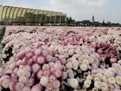 -中国天府农业博览园