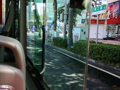 -神龟馅饼(大观园店)