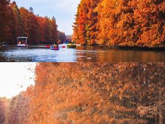 -上海海湾国家森林公园