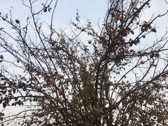 -河南省黄河迎宾馆