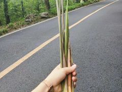 -中国茶叶博物馆(双峰馆区)