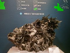 -贵州省地质博物馆