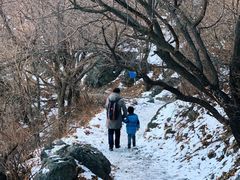 -阳台山自然风景区