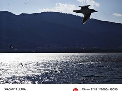 -海埂大坝