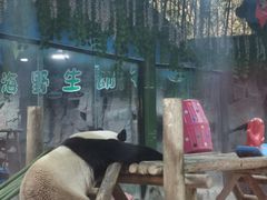 -栾川竹海野生动物园