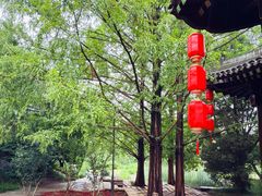 -元大都城垣遗址公园