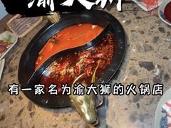 -渝大狮毛肚老火锅(文峰城市广场店)