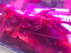 -章云板鸭(评事街店)