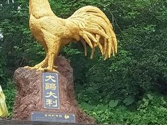 -海口火山口国家地质公园
