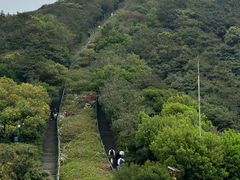 -梧桐山风景名胜区