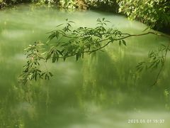 -神龙峡风景区