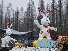 -东平国家森林公园