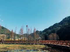 -广州市石门国家森林公园