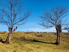 -硗碛藏寨·神木垒景区