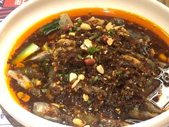 凉拌鸡-铁公鸡·四川料理(天环广场店)