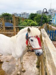 -三分地生态园·儿童乐园