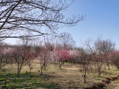 -南京市江宁方山