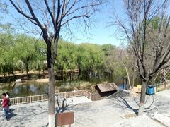 -石家庄市动物园