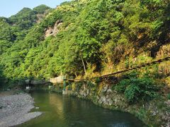 -水墨汀溪风景区