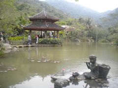-亚龙湾热带天堂森林公园
