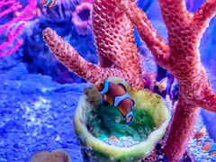 -沈阳海洋探索中心