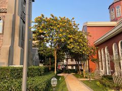 -海花岛旅游度假区