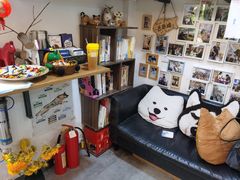 -严国平动物医院(德政总院)