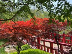 -大连植物园