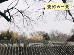 屋顶-恭王府博物馆