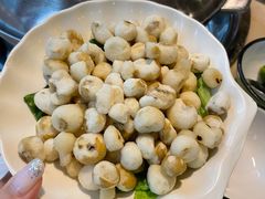野生珍珠马蹄-四季合味椰子鸡(南山大冲店)