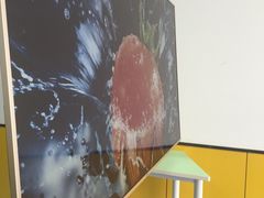 -童程童美·信息学竞赛·机器人编程·少儿编程(大钟寺校区)