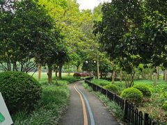 -陆家嘴中心绿地