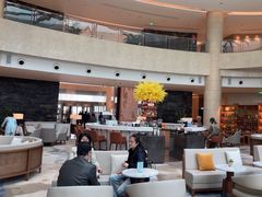 -Plush大堂酒廊(北京金融街威斯汀大酒店)