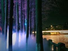 -运河游船(武林门码头)