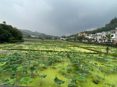-红山村