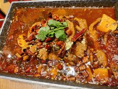 -鸡毛店·川菜(双楠店)