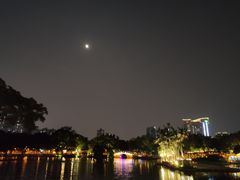 -荔湾湖公园