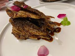 -沪碟·精菜坊(闵行店)