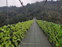 -石燕湖生态旅游景区