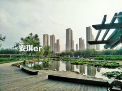 -前关湿地公园