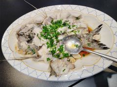 -明本湛江鸡•海鲜小厨(陈家祠店)
